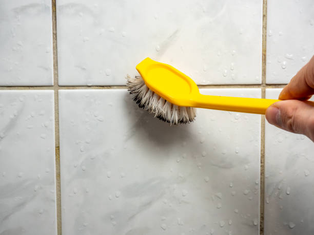 Best Mold Removal Process  in Shadeland, IN