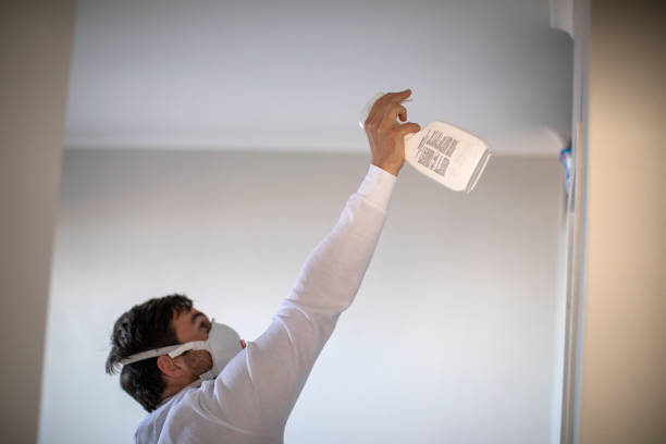 Best Attic Mold Removal  in Shadeland, IN