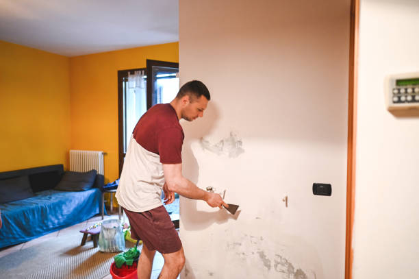 Best Mold Cleaning Services  in Shadeland, IN